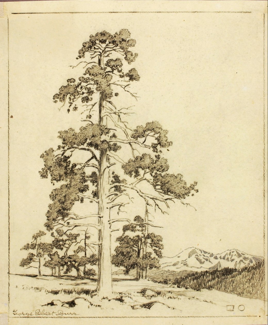 Sin título (dibujo de transferencia para impresión) de George Elbert Burr