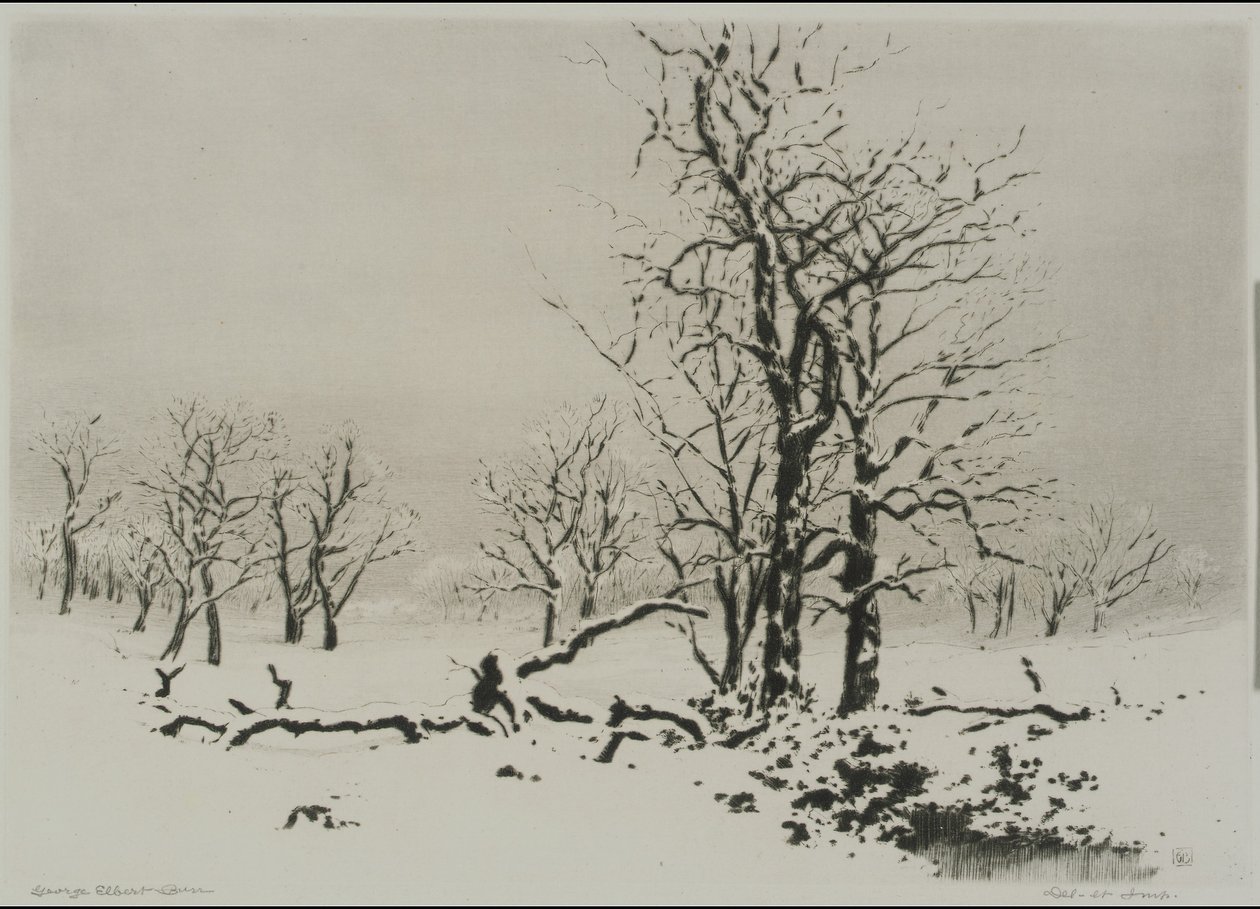 Invierno (n.º 1) de George Elbert Burr