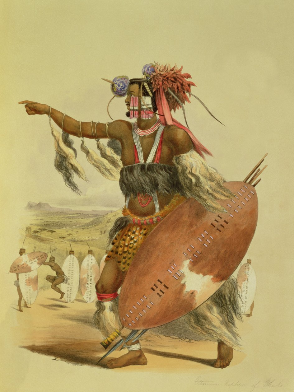 Guerrero zulú, Utimuni, sobrino de Chaka el último rey zulú, lámina 13 de 