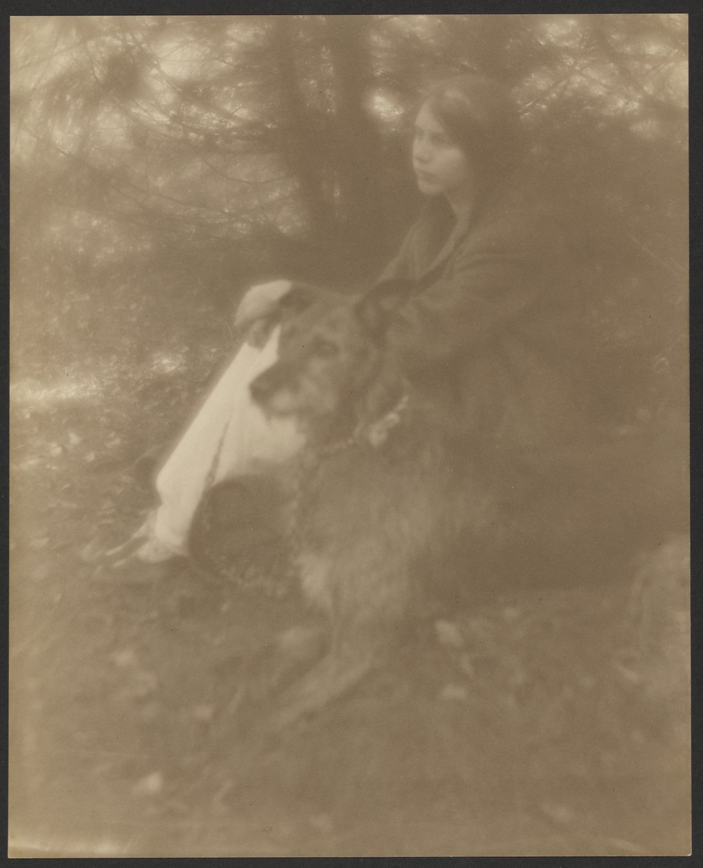 [Mujer sentada con perro] de George H. Seeley