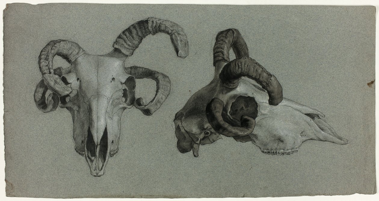 Cráneos de carnero de George Hayter
