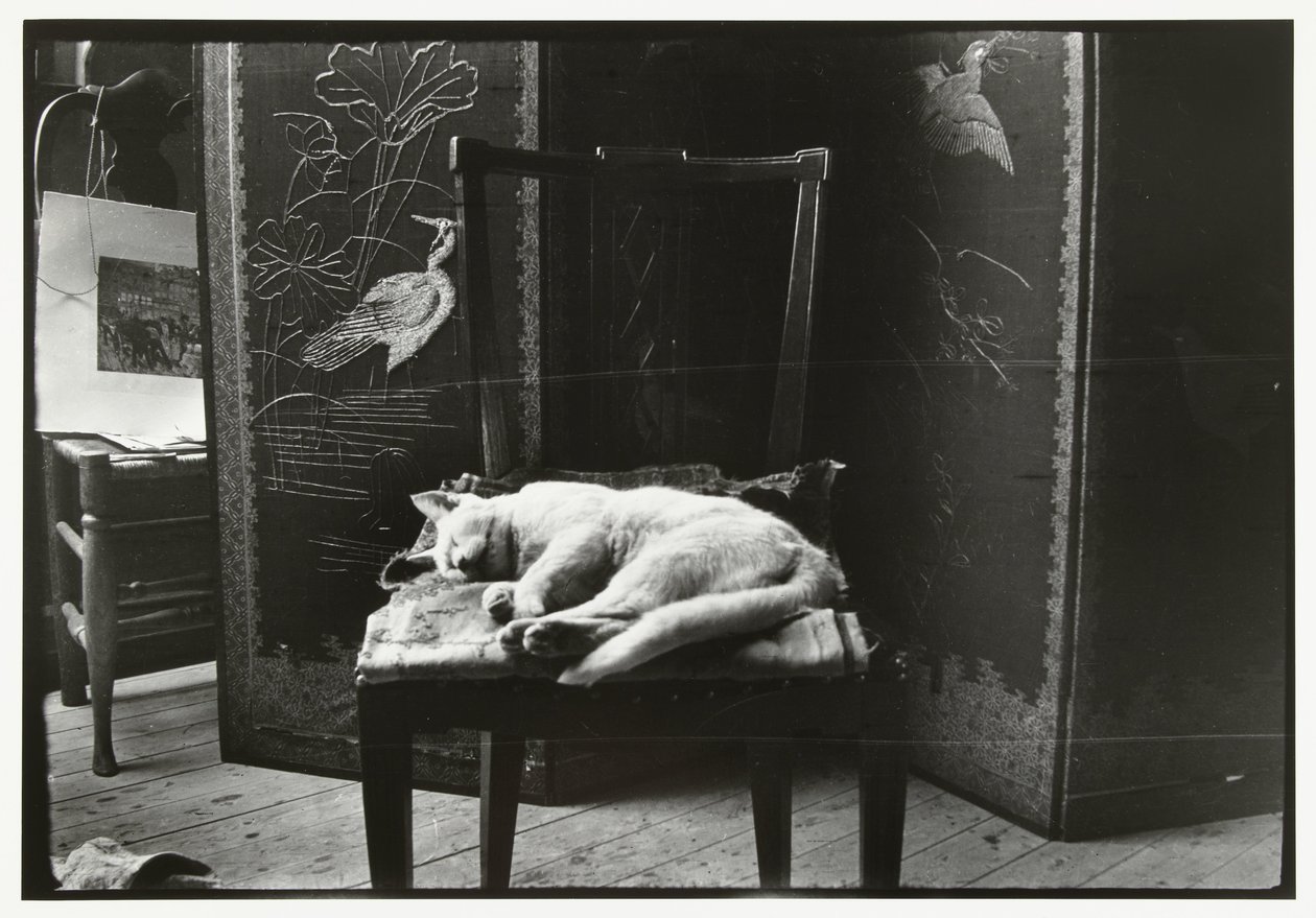 Gato en una silla en el estudio de Breitner en Amsterdam de George Hendrik Breitner