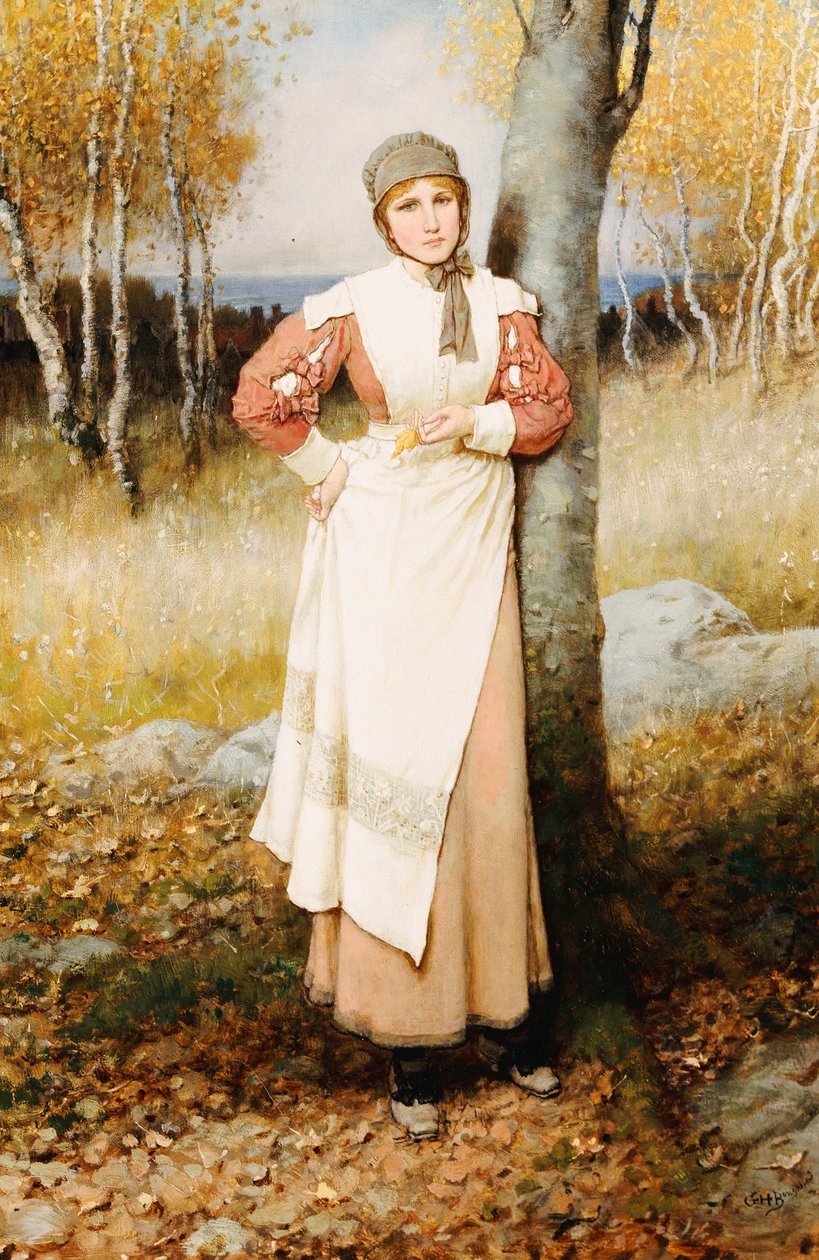 Una rosa en Nueva Inglaterra de George Henry Boughton