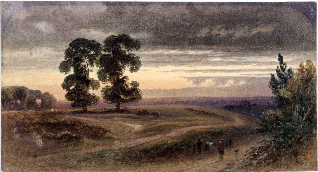 Vista general de Hampstead, Londres de George Henry Hine