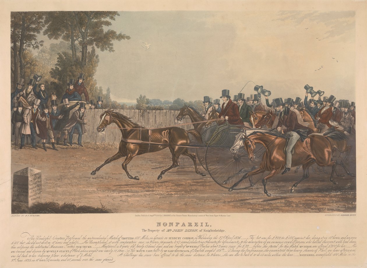 "Nonpareil" / Propiedad del Sr. John Dixon de Knightsbridge / Esta maravillosa criatura, realizó el partido sin precedentes, de trotar 100 millas en arnés en Sunbury Common, el miércoles 27 de abril de 1836. ... de George Hunt