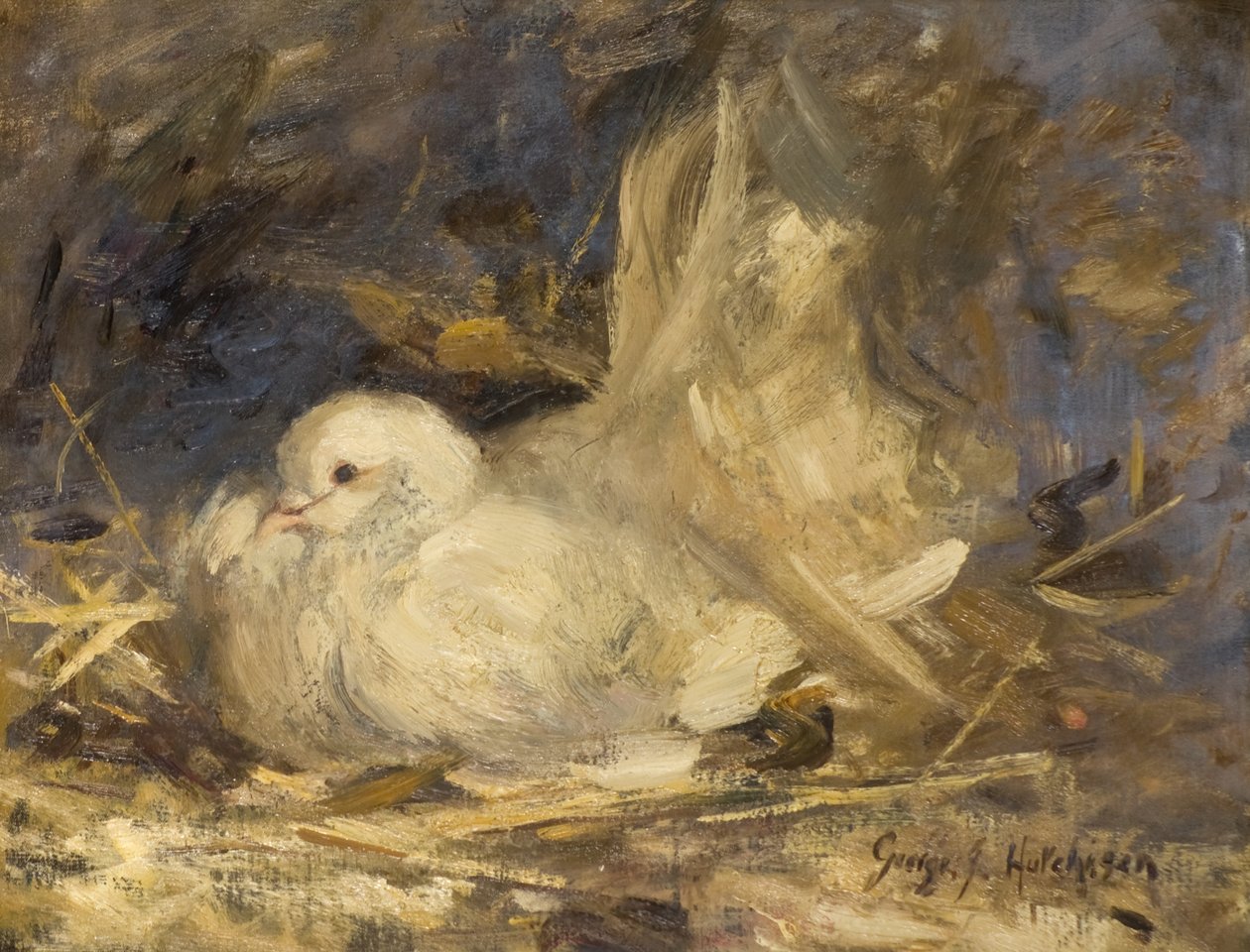 La paloma melancólica de George Jackson Hutchison