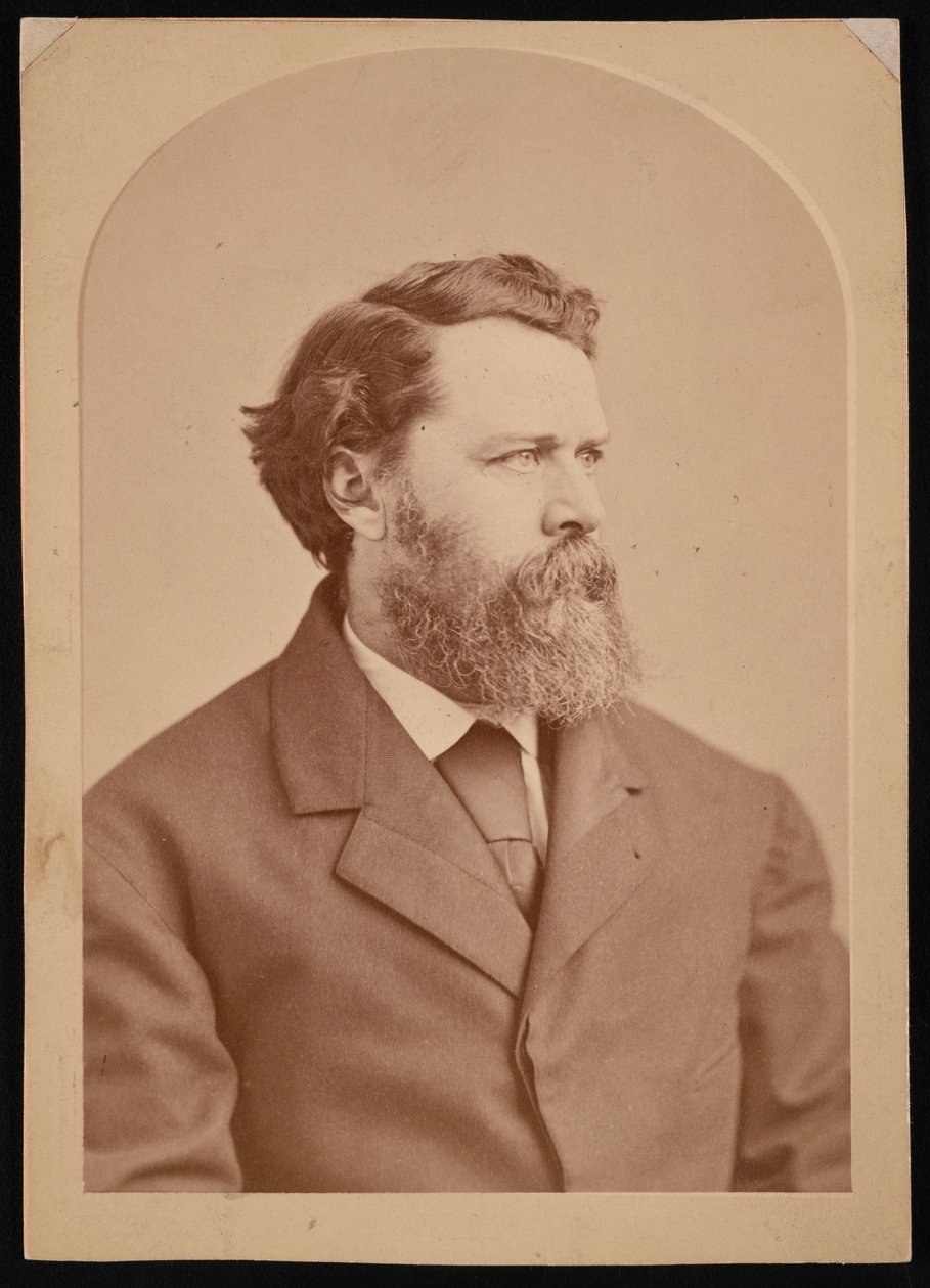 Retrato de Oliver Wolcott Gibbs 1822-1908, entre 1870 y 1873 de George K Warren