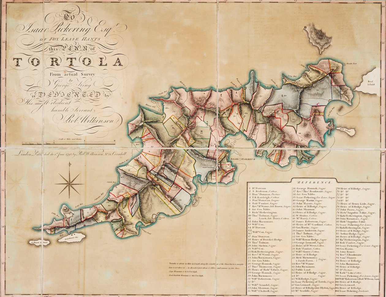 Plano de Tórtola según el estudio de George King de George King