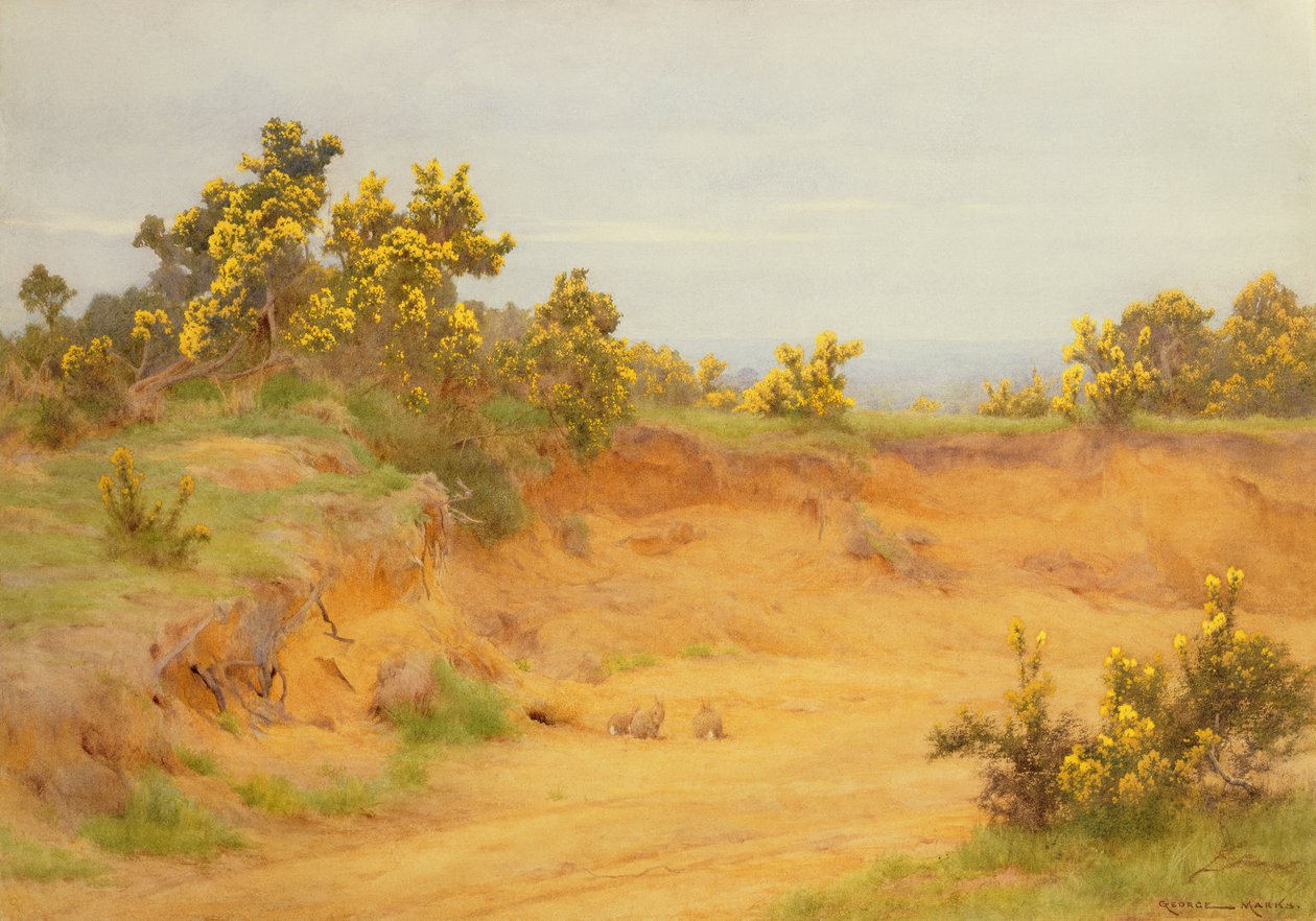 La madriguera de conejos, Shere, Surrey de George Marks