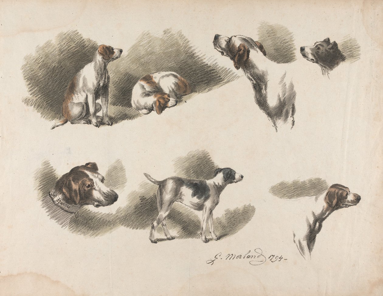 Animales - Siete estudios de un perro de caza en una hoja. «Jno. Harris» en el collar del perro de caza abajo a la izquierda de George Morland