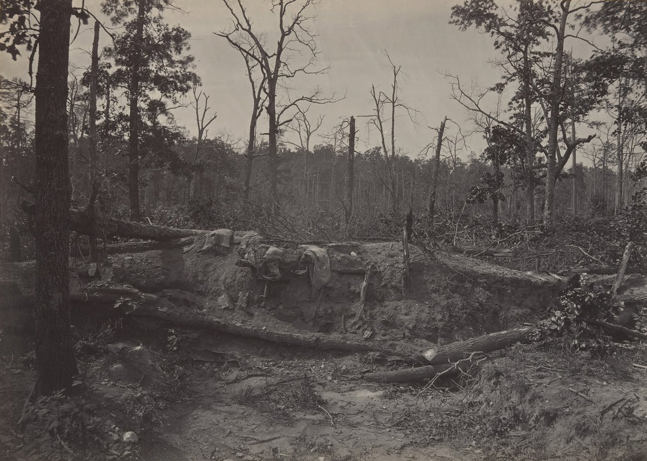Campo de batalla de la Iglesia New Hope, Georgia No. 2, 1860s de George N. Barnard