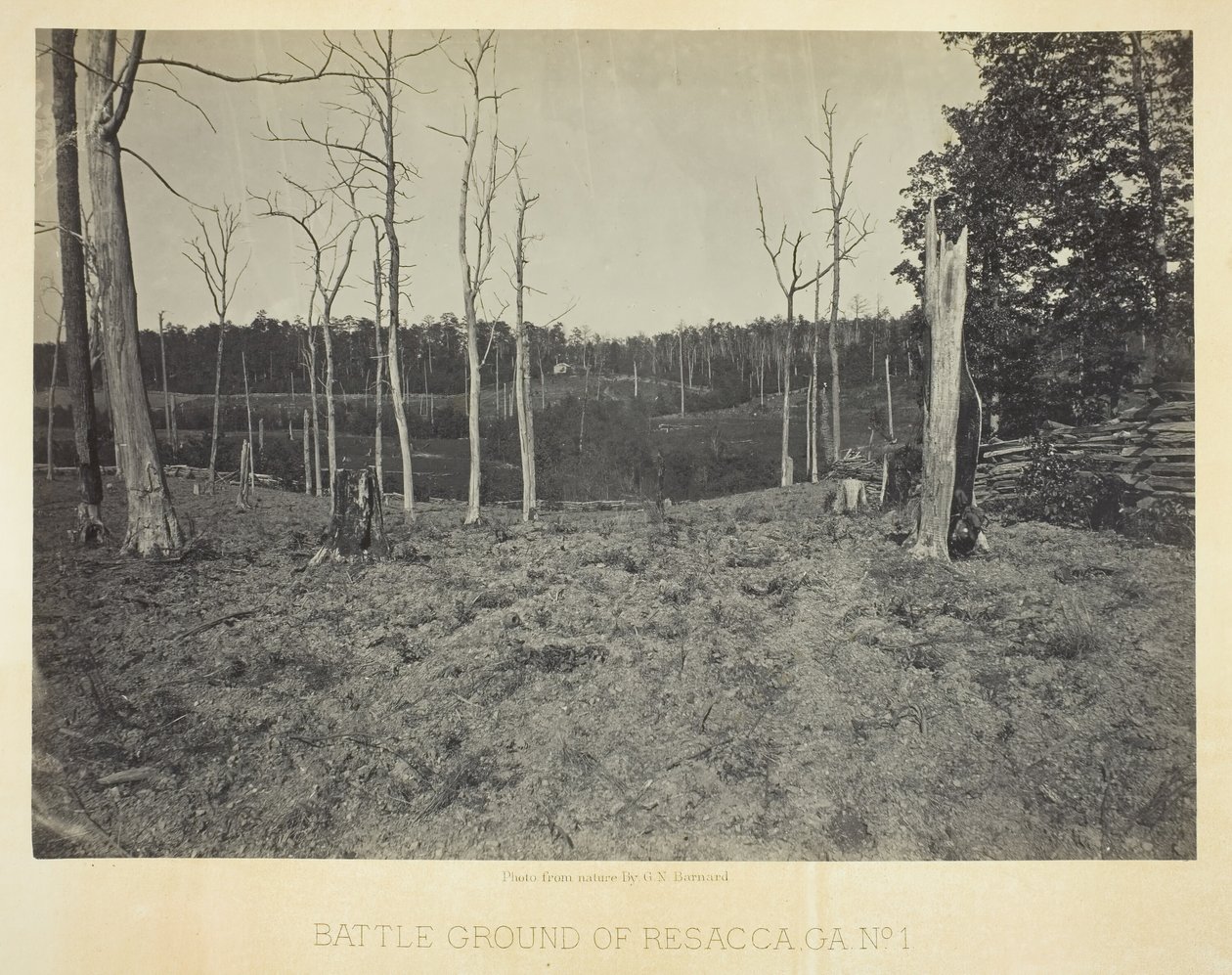 Campo de Batalla de Resacca, GA, No. 1, 1866 de George N. Barnard