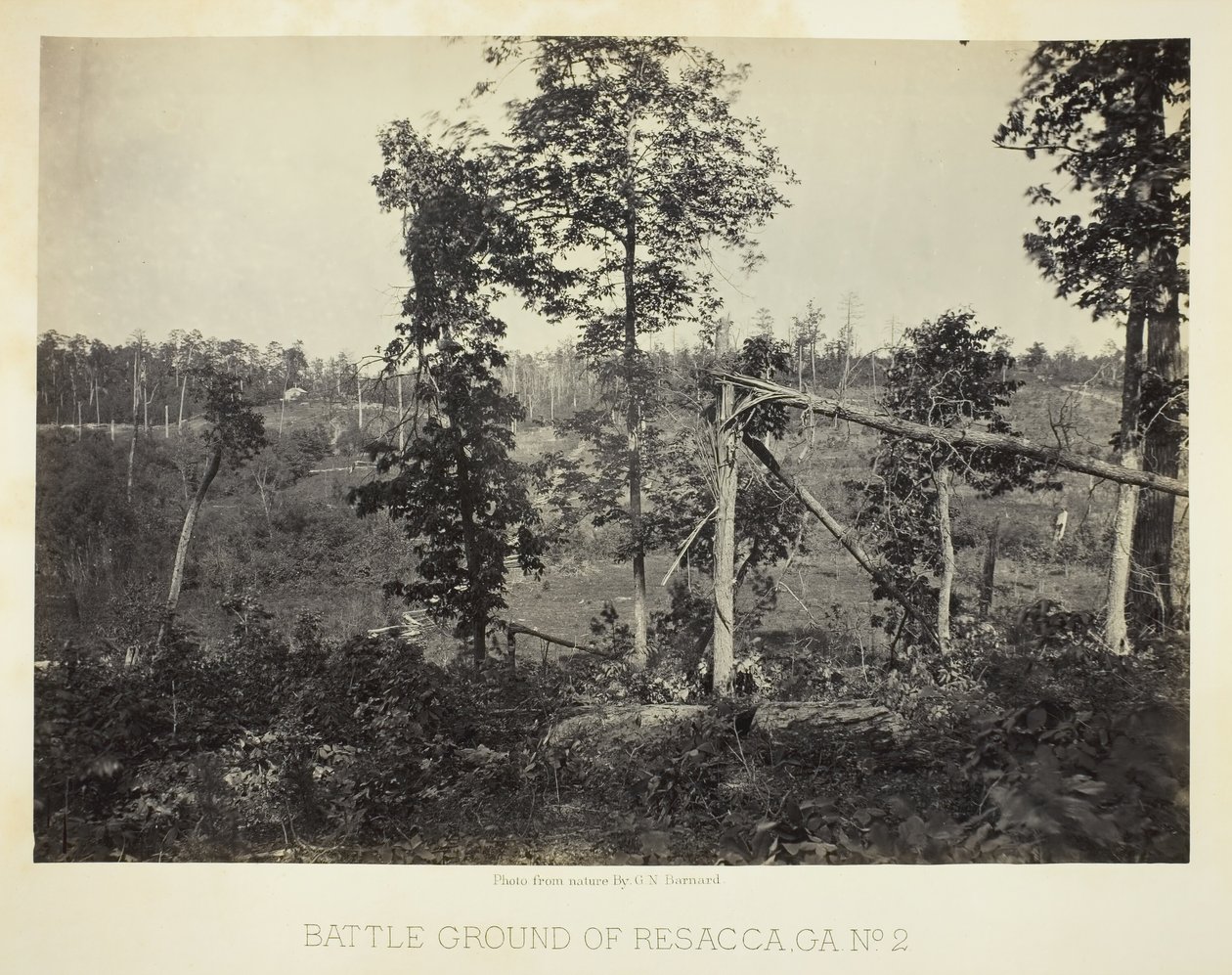 Campo de batalla de Resacca, GA, No. 2 de George N. Barnard