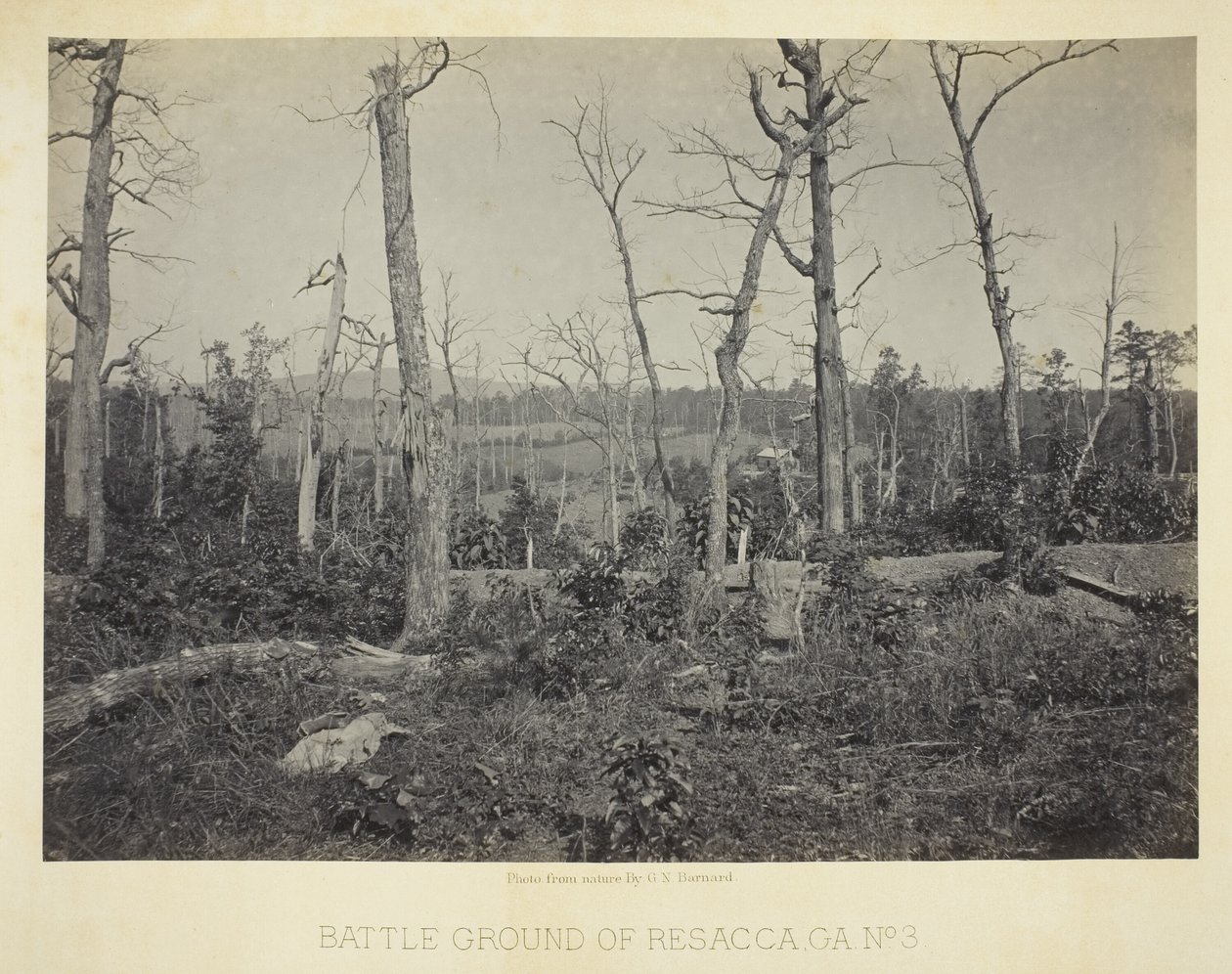 Campo de batalla de Resacca, GA, nº 3 de George N. Barnard