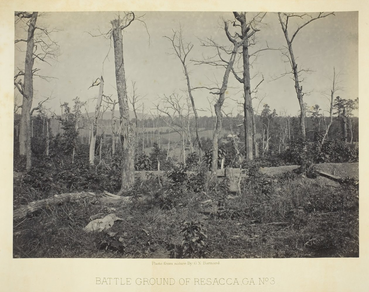 Campo de batalla de Resacca, GA, No. 3, 1866 de George N. Barnard