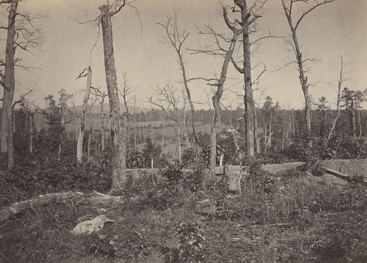 Campo de batalla de Resacca, Georgia No. 3, 1860s de George N. Barnard