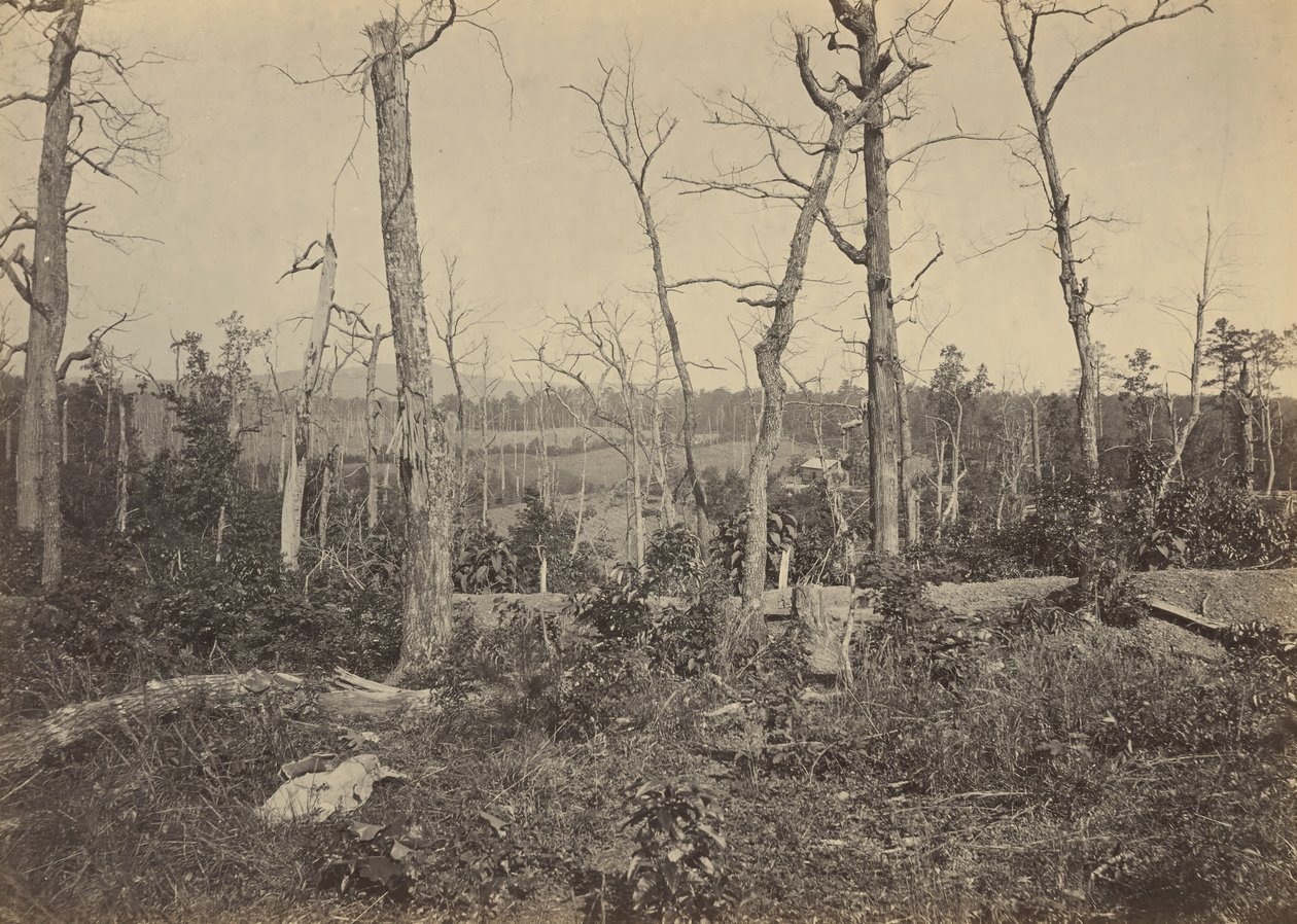 Campo de batalla de Resaca, Georgia, No 3,1864 (foto) de George N. Barnard