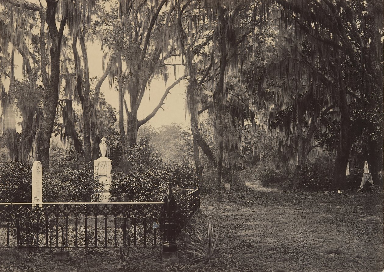 Buen-Ventura, Savannah, Georgia, 1860s de George N. Barnard