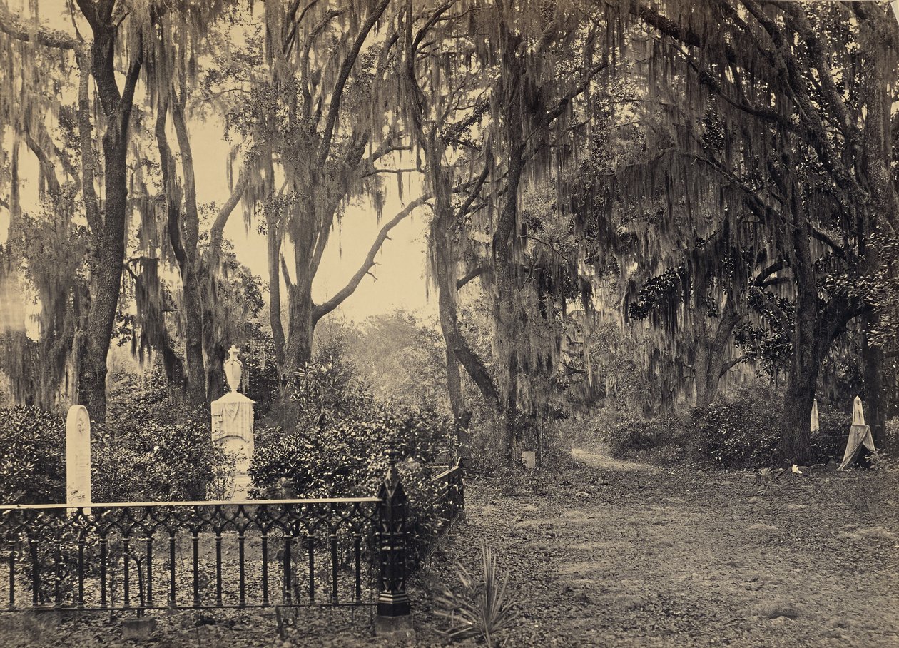 [Buen-Ventura Savannah, Georgia] de George N. Barnard