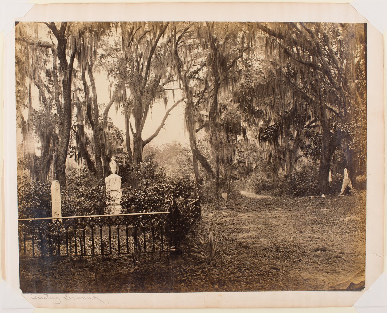 Buen-Ventura, Savannah, Georgia de George N. Barnard
