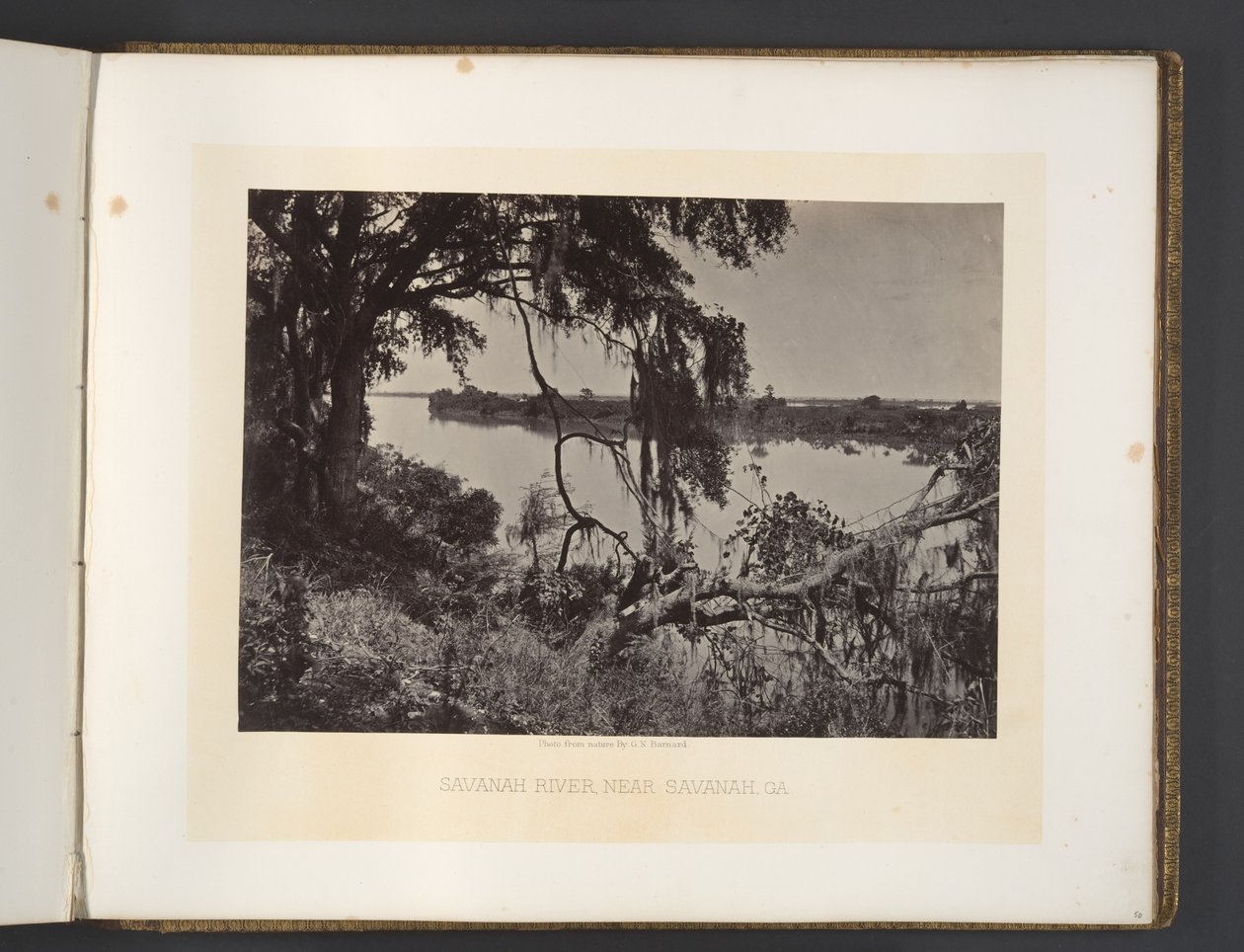 Río Savannah, cerca de Savannah, Georgia de George N. Barnard