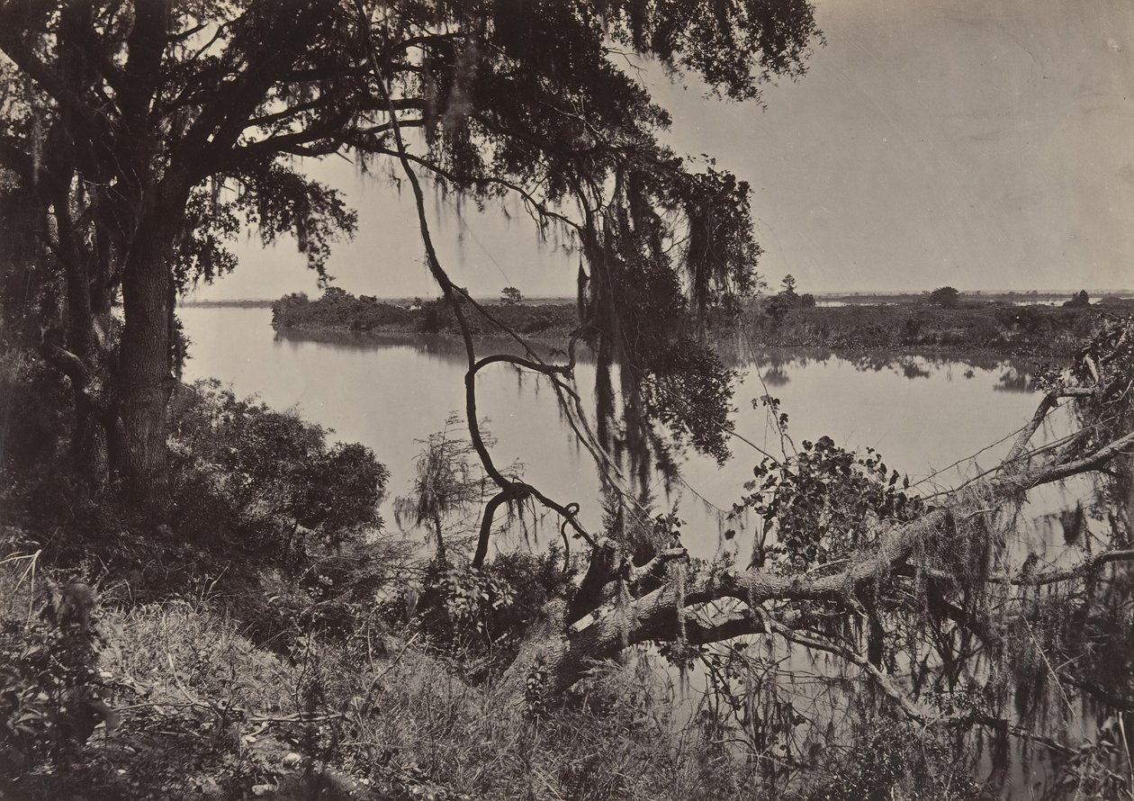 Río Savanah, cerca de Savanah, Georgia, 1860s de George N. Barnard