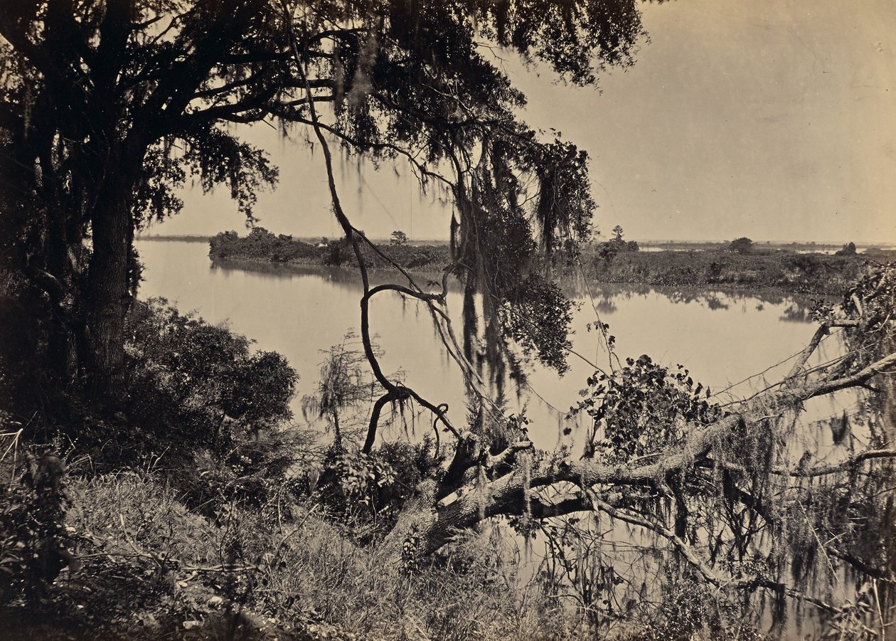 [Río Savannah, cerca de Savannah, Georgia] de George N. Barnard