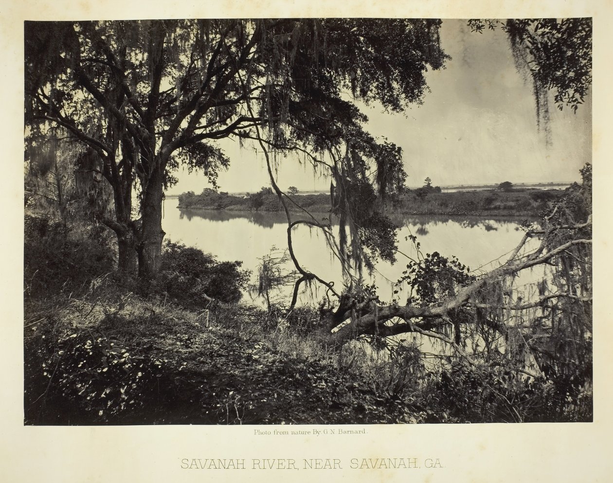 Río Savannah, cerca de Savannah, GA, 1866 de George N. Barnard