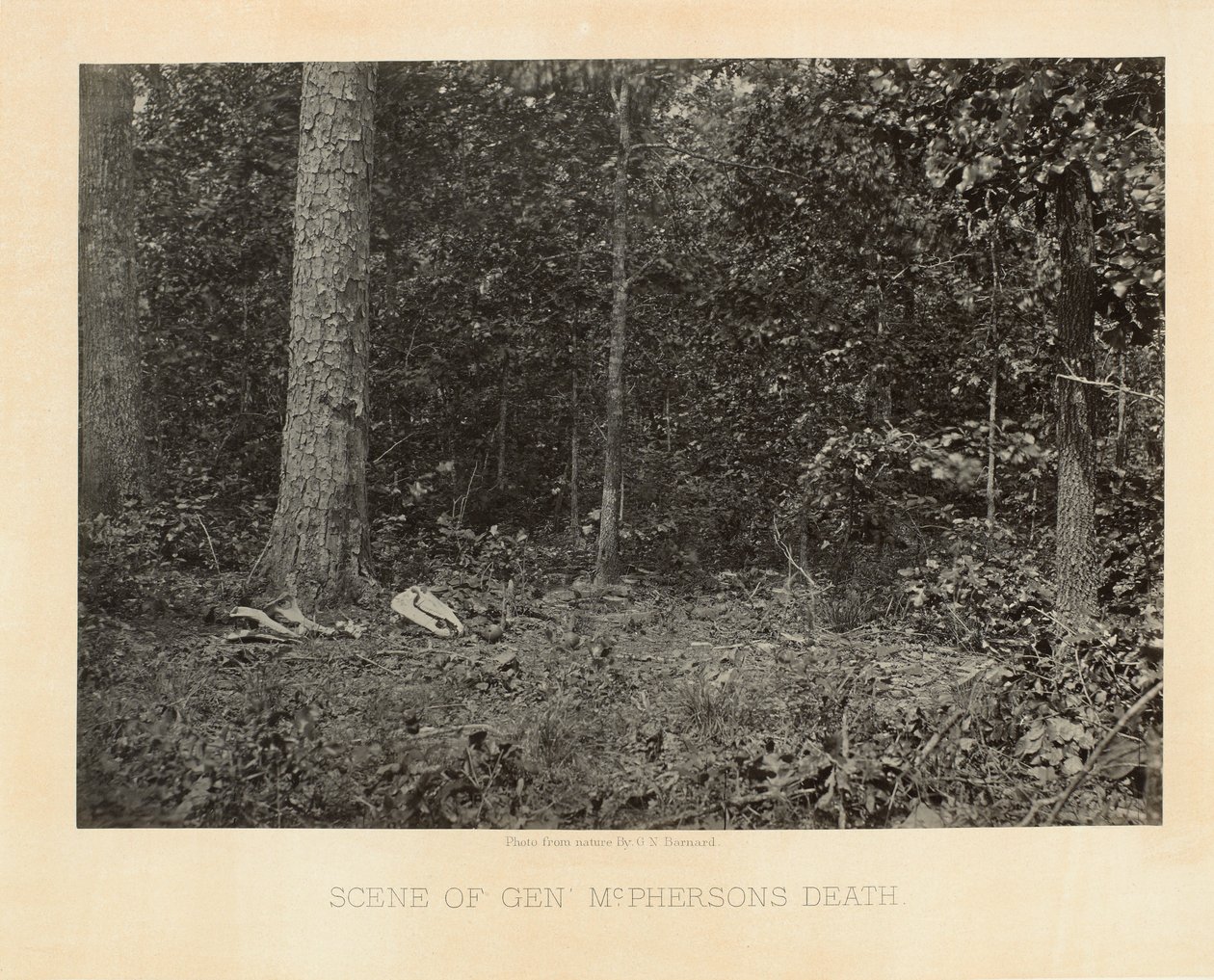 Escena de la muerte del General McPherson, Georgia, de Vistas Fotográficas de la Campaña de Sherman de George N. Barnard