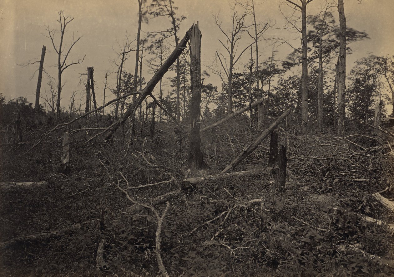 La iglesia «Hell Hole» de New Hope, Georgia de George N. Barnard