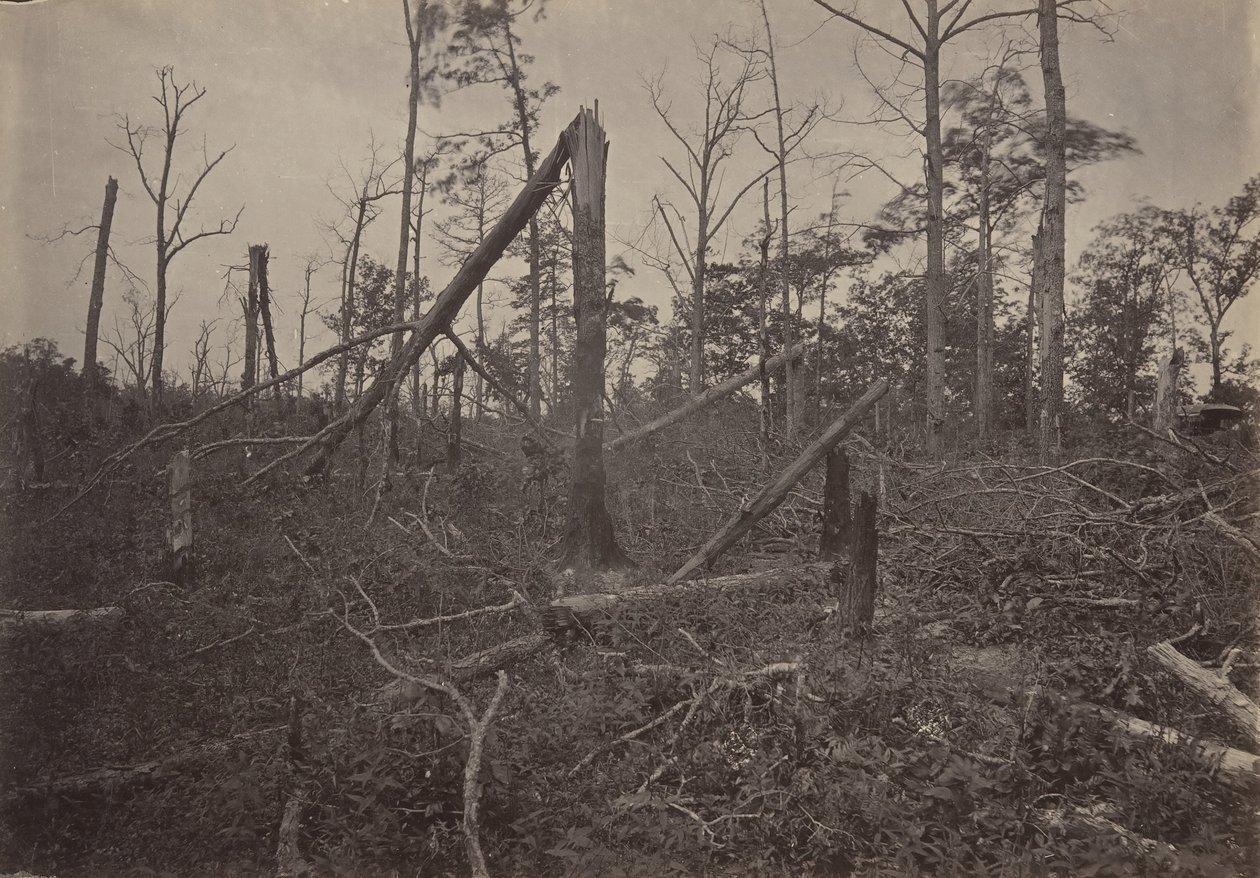 El Agujero del Infierno, Iglesia New Hope, Georgia de George N. Barnard