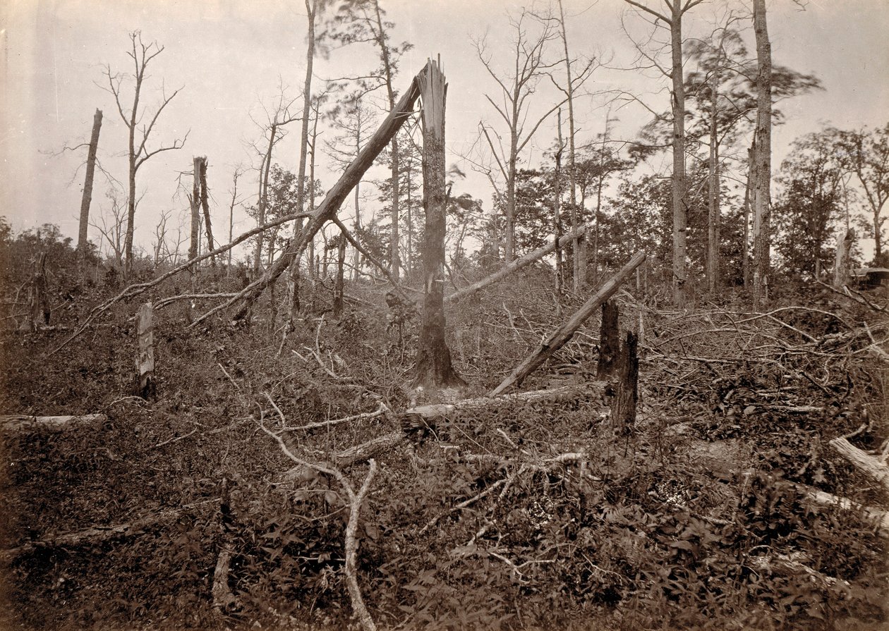 The "Hell Hole", New Hope Church, Georgia, de Photographic Views of Sherman