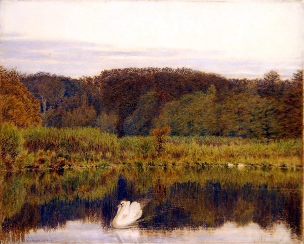 Abinger Mill Pond, Surrey - Mañana a finales de otoño de George Price Boyce
