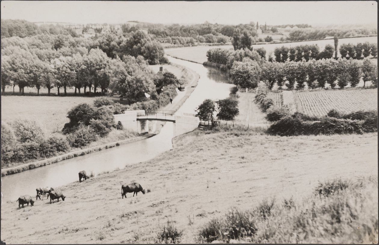 Vista hacia el puente de Globe Lane a través del Grand Union Canal, siglo XX (foto) de George R. Long