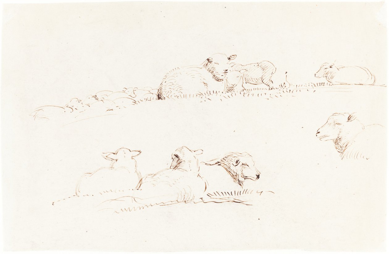 Estudios de ovejas en el pasto de George Richmond