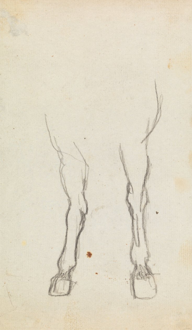 Estudio de las patas delanteras de un caballo de George Romney
