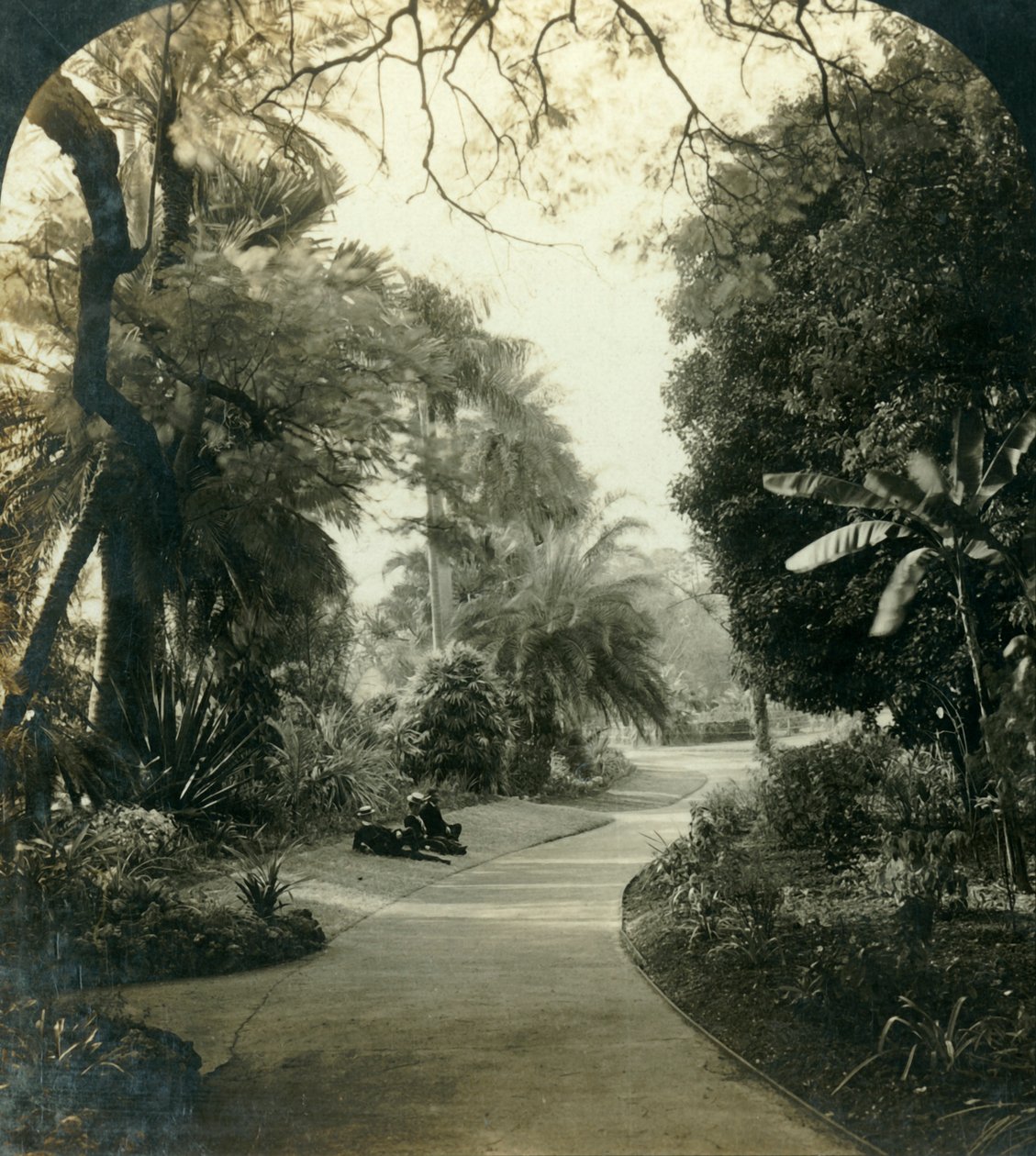 Camino en el Queens Park, Brisbane, Australia, c. 1909 de George Rose