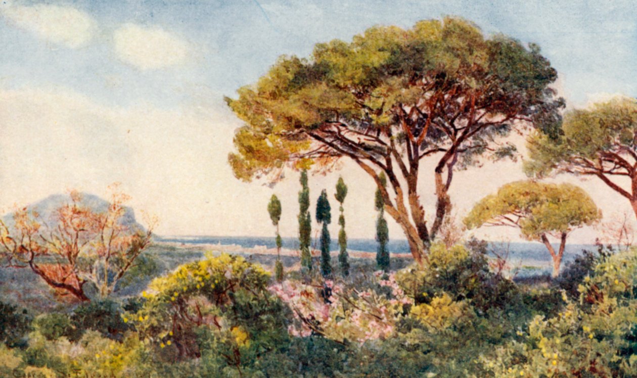 Entre las montañas y el mar" (litografía en color) de George Samuel Elgood