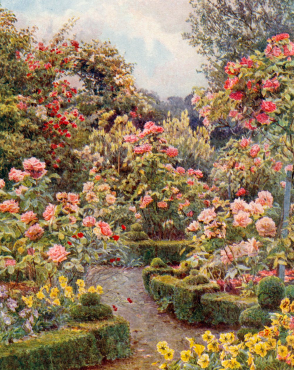 Por todas partes hay rosas, rosas" (litografía en color) de George Samuel Elgood
