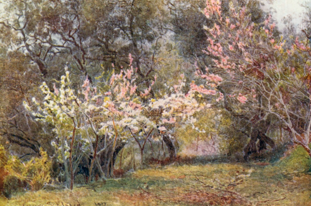  de George Samuel Elgood