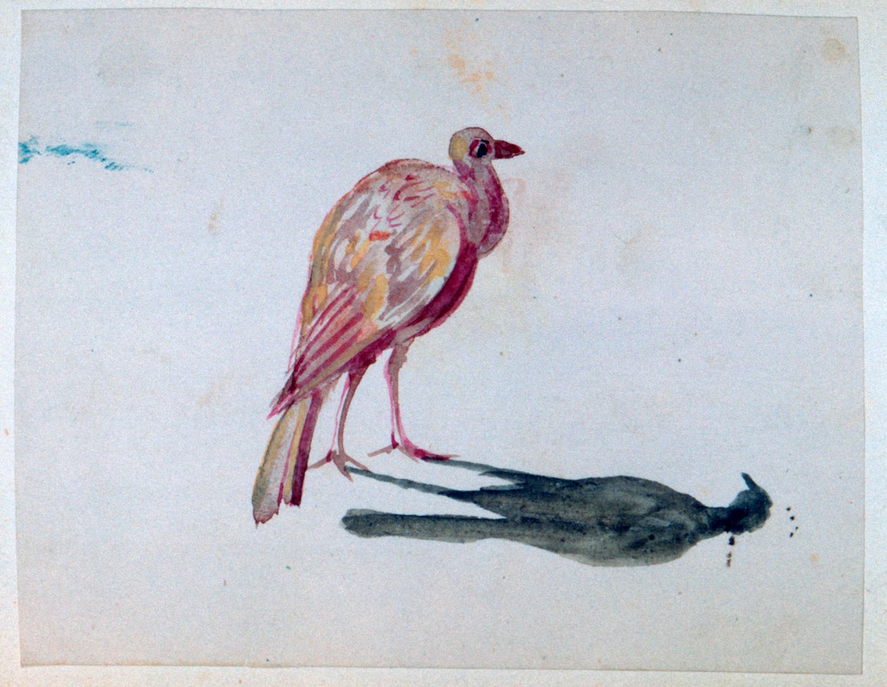 Pájaro, 1820-1876 de George Sand