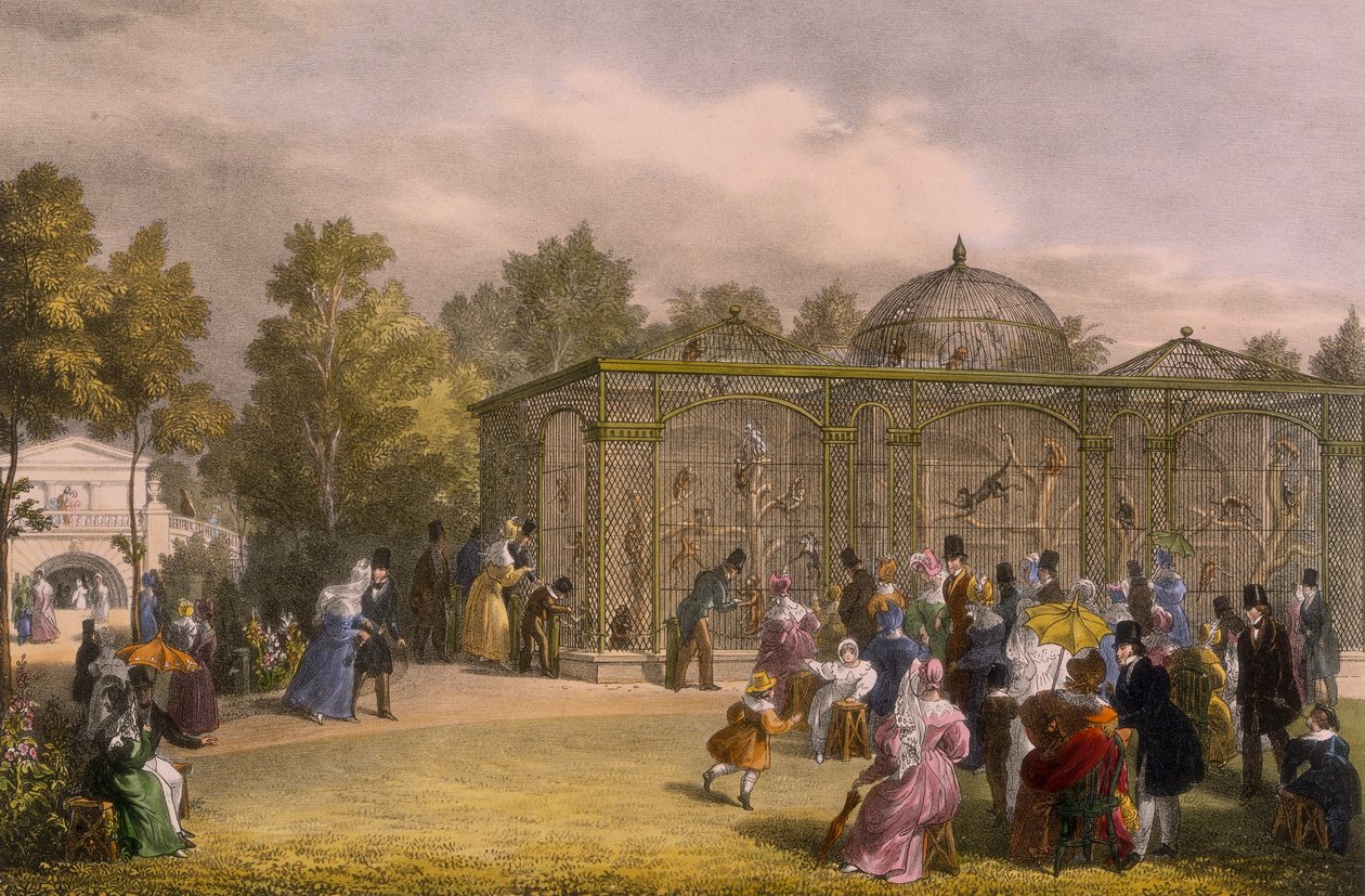 La casa de los monos en el Zoológico, Regent