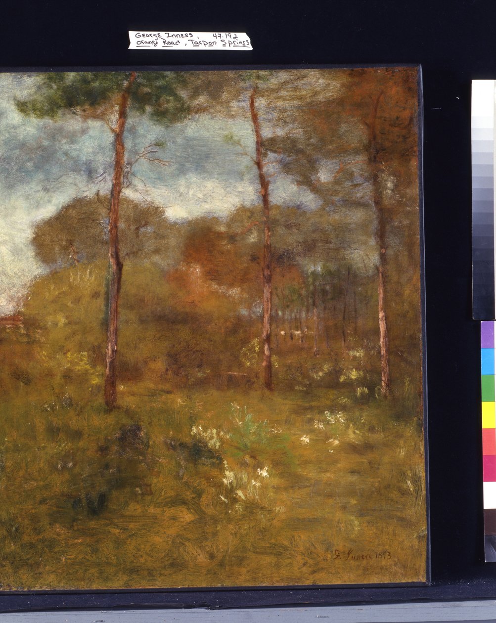 Orange Road, Tarpon Springs (óleo sobre lienzo) de George Snr. Inness