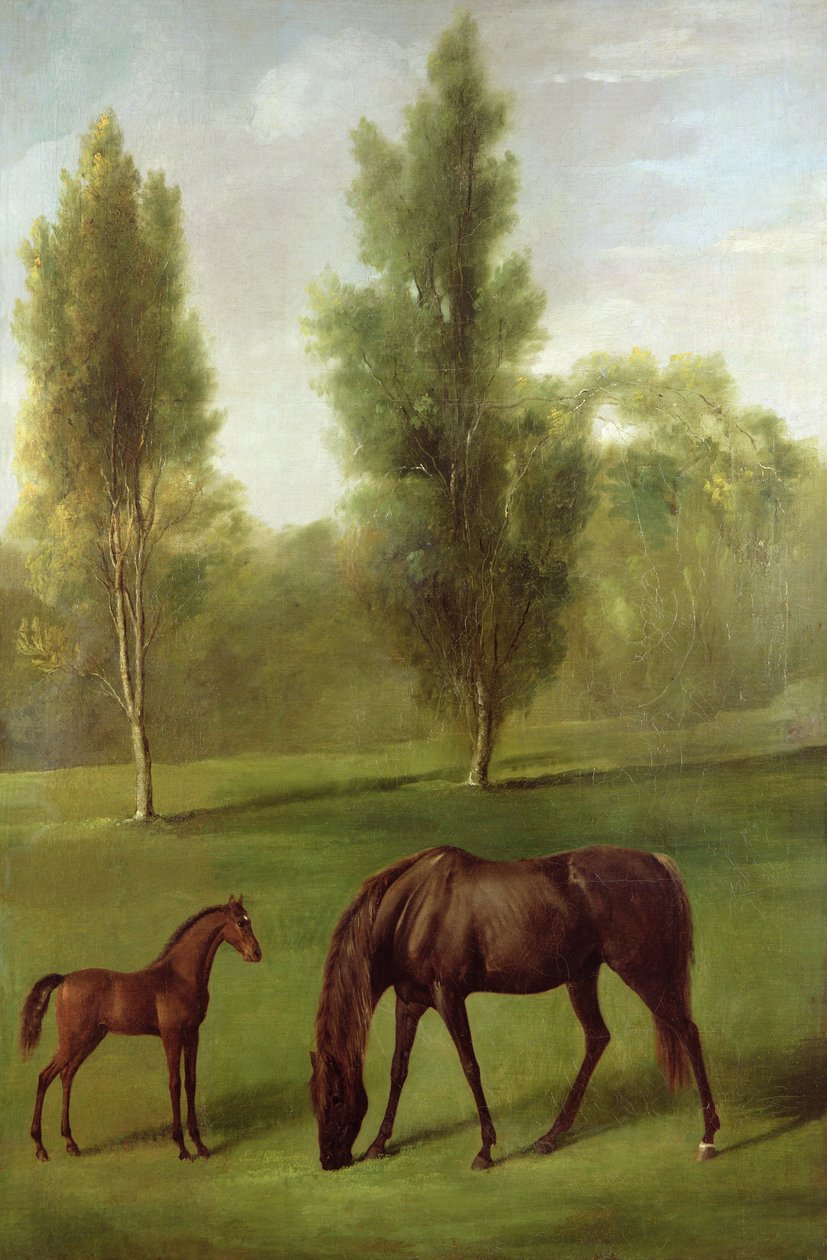 Una yegua castaña y su potro en un paisaje boscoso, c.1761-63 de George Stubbs