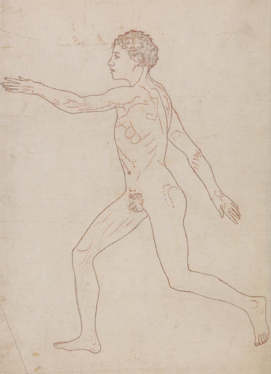 Exposición anatómica comparativa de la estructura del cuerpo humano con la del tigre y la del ave común: Figura Humana, Vista Lateral (Esquema del Estudio en el Reverso de la Tabla VIII) de George Stubbs
