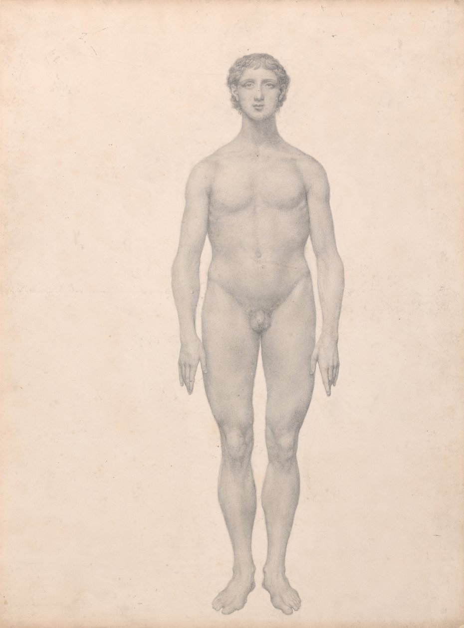 Exposición anatómica comparativa de la estructura del cuerpo humano con la de un tigre y un ave común:  Figura humana, vista anterior, sin diseccionar (estudio terminado para el cuadro VI) de George Stubbs