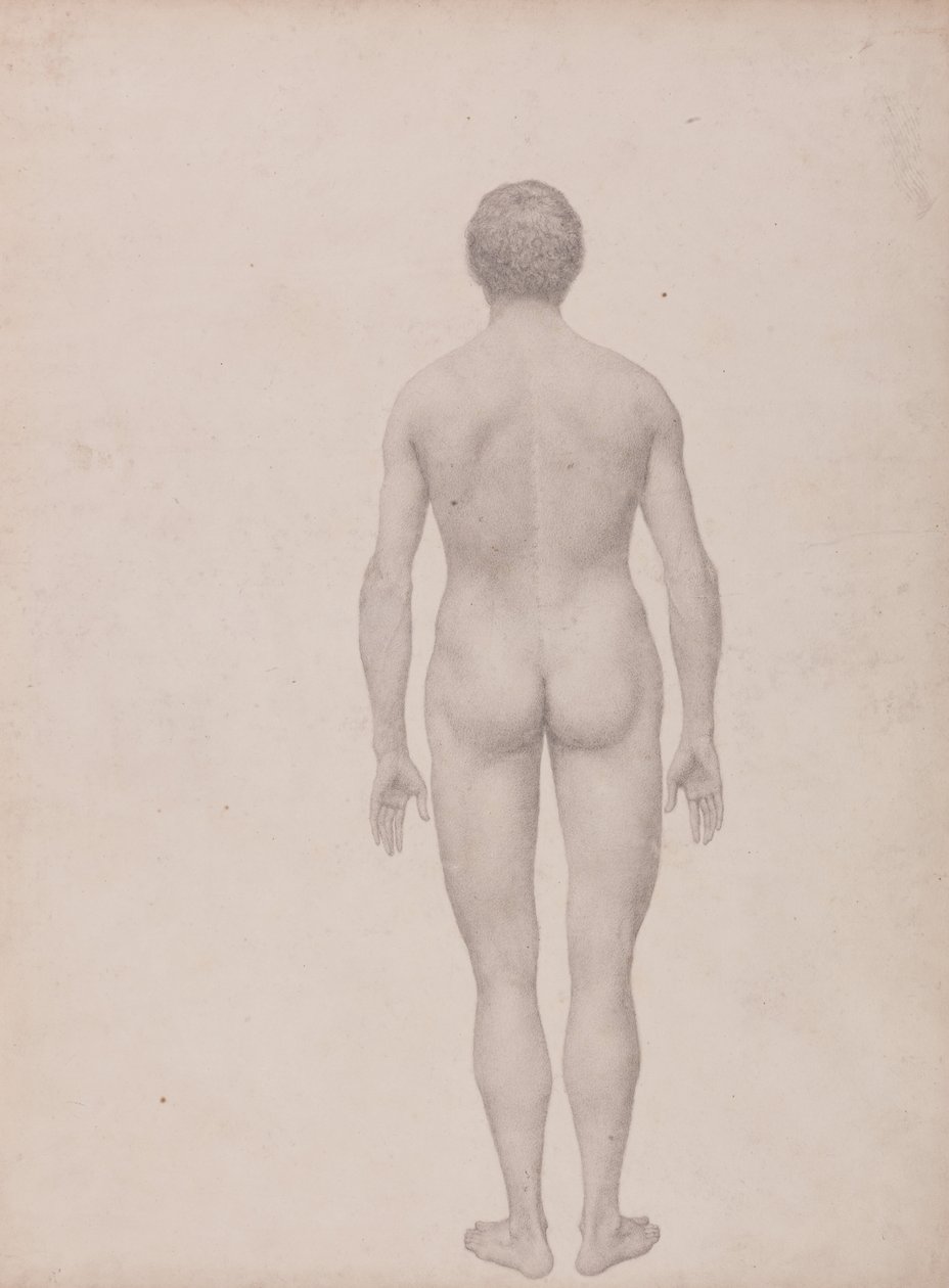 Exposición Anatómica Comparativa de la Estructura del Cuerpo Humano con la de un Tigre y un Ave Común: Figura humana, vista posterior, sin diseccionar (estudio terminado para el cuadro VII) de George Stubbs