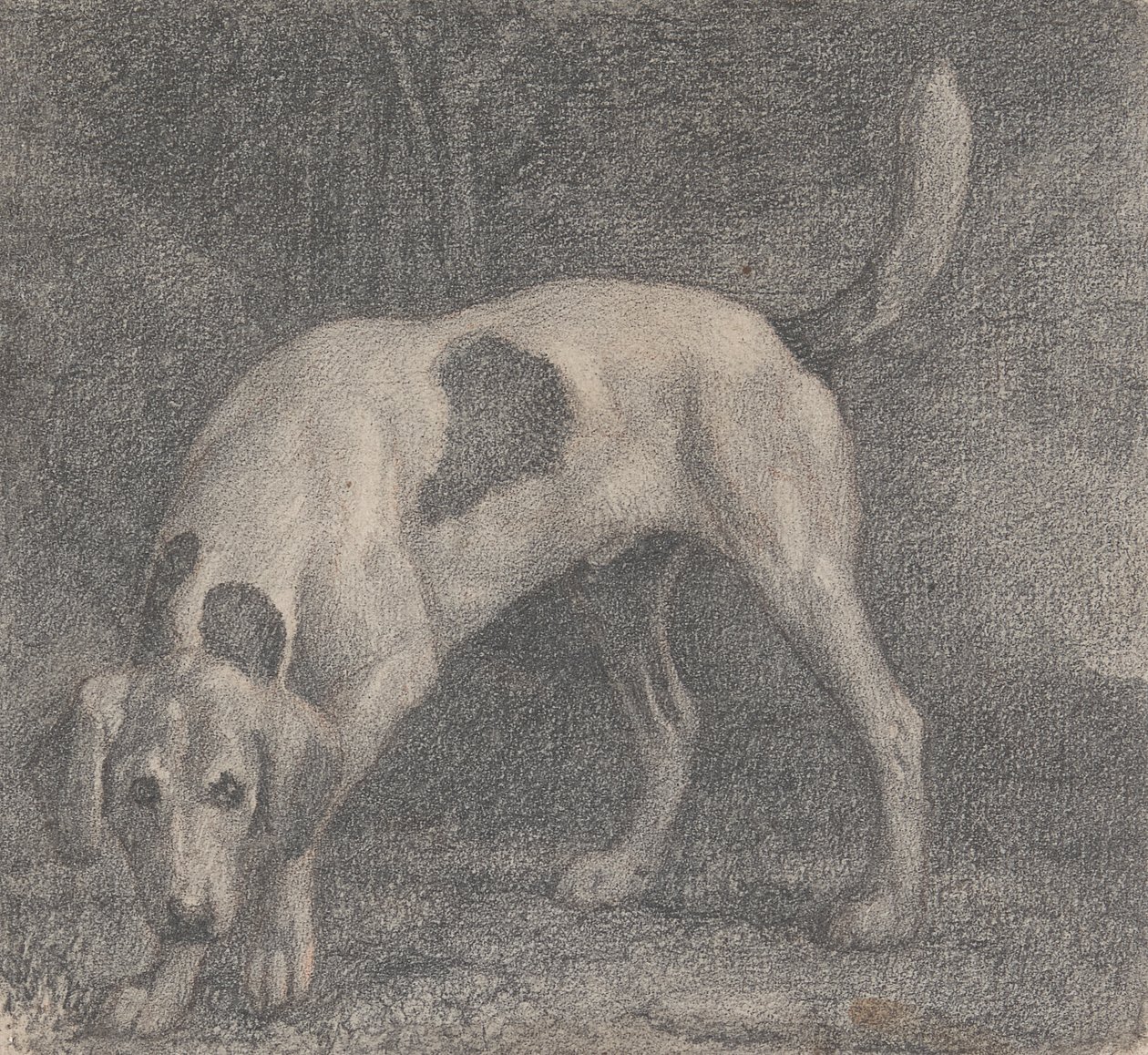 Un Foxhound en la mira de George Stubbs