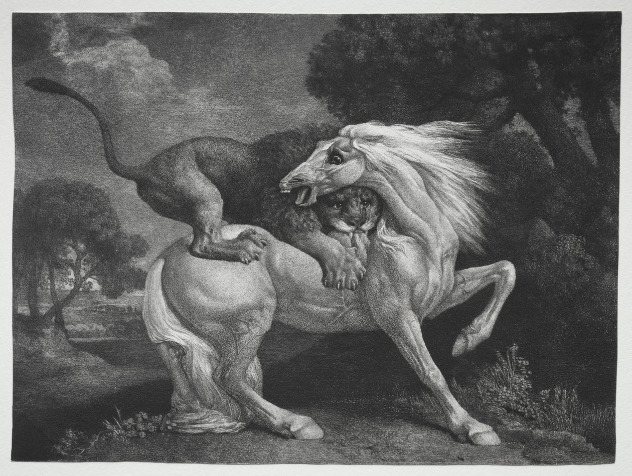 A Horse Attacked by a Lion de George Stubbs