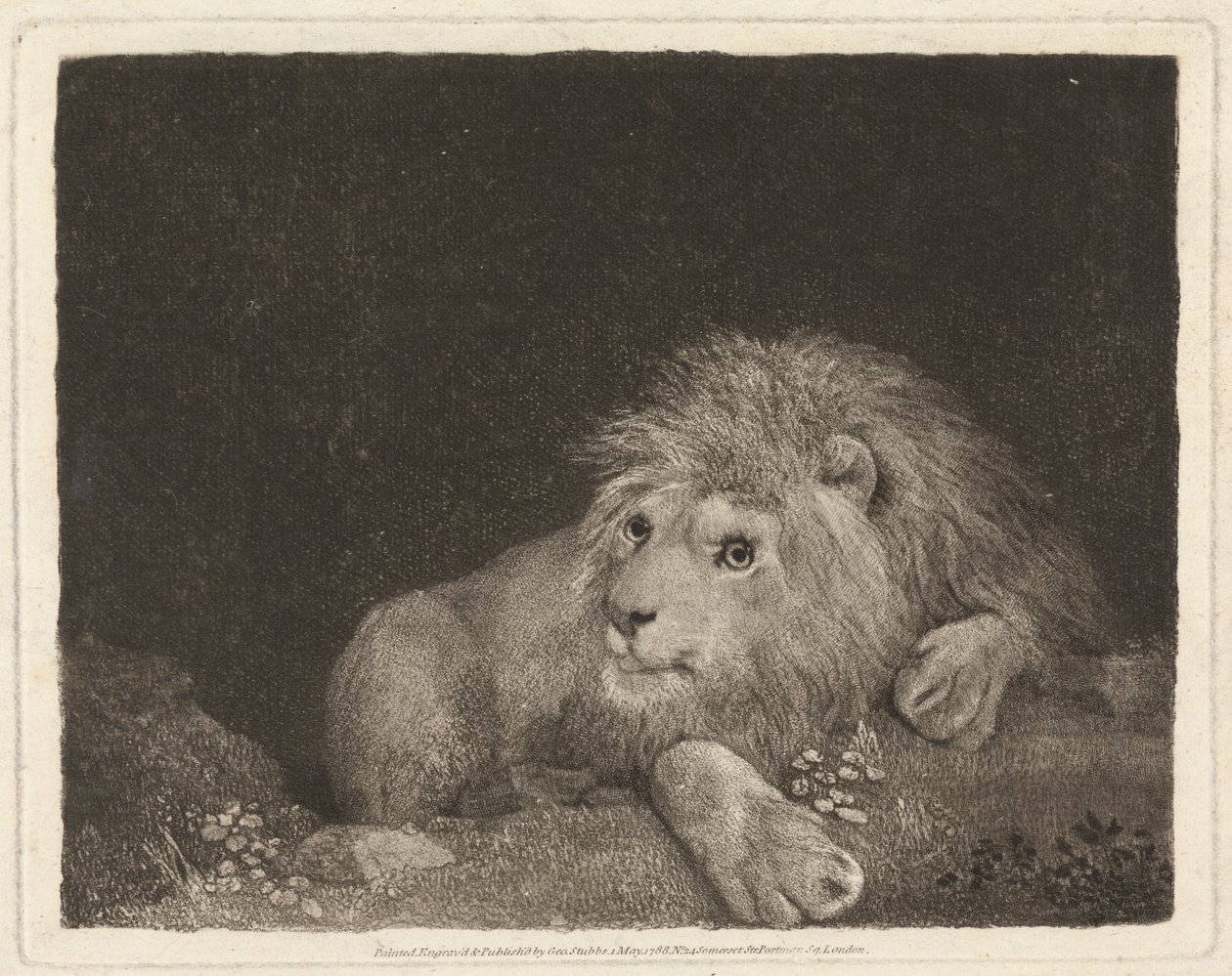 Un León [Un León yacente] de George Stubbs